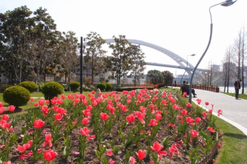 Nanyuan Park 